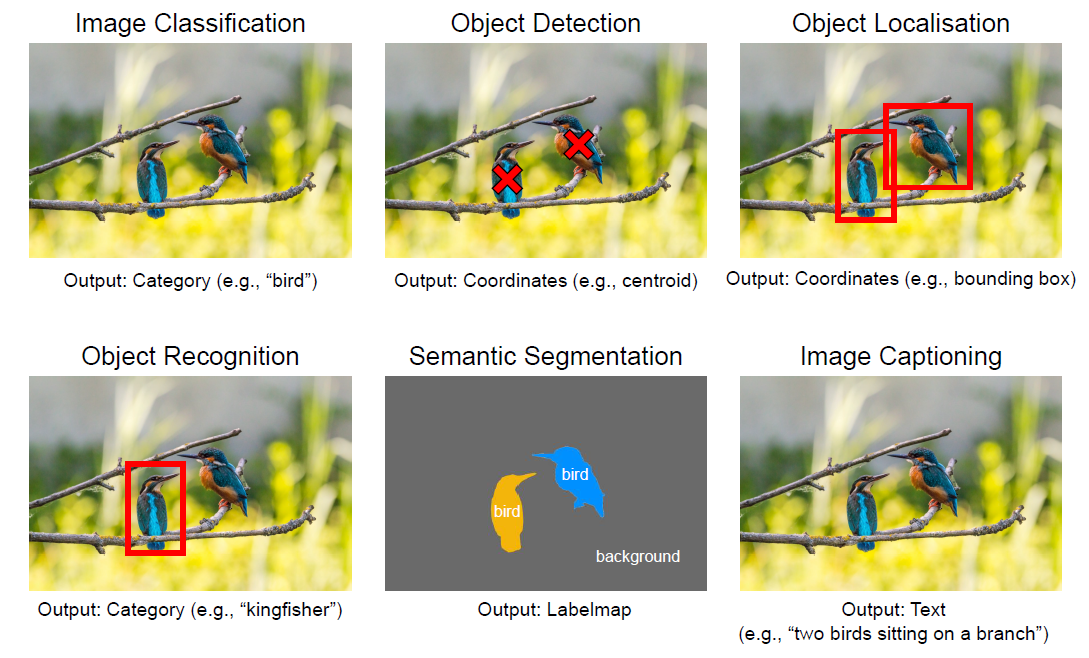 Common Image Analysis Task 1